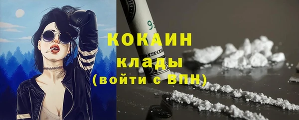 крисы Алексин