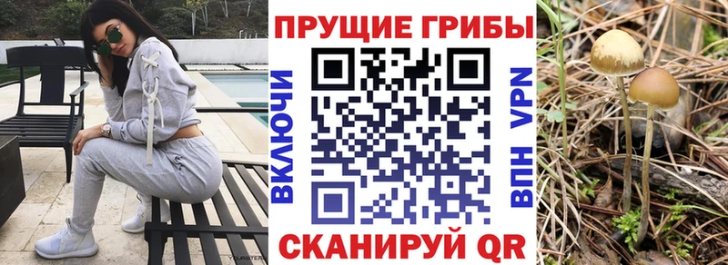 Псилоцибиновые грибы ЛСД  Артёмовск 